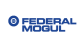 Federal Mogul